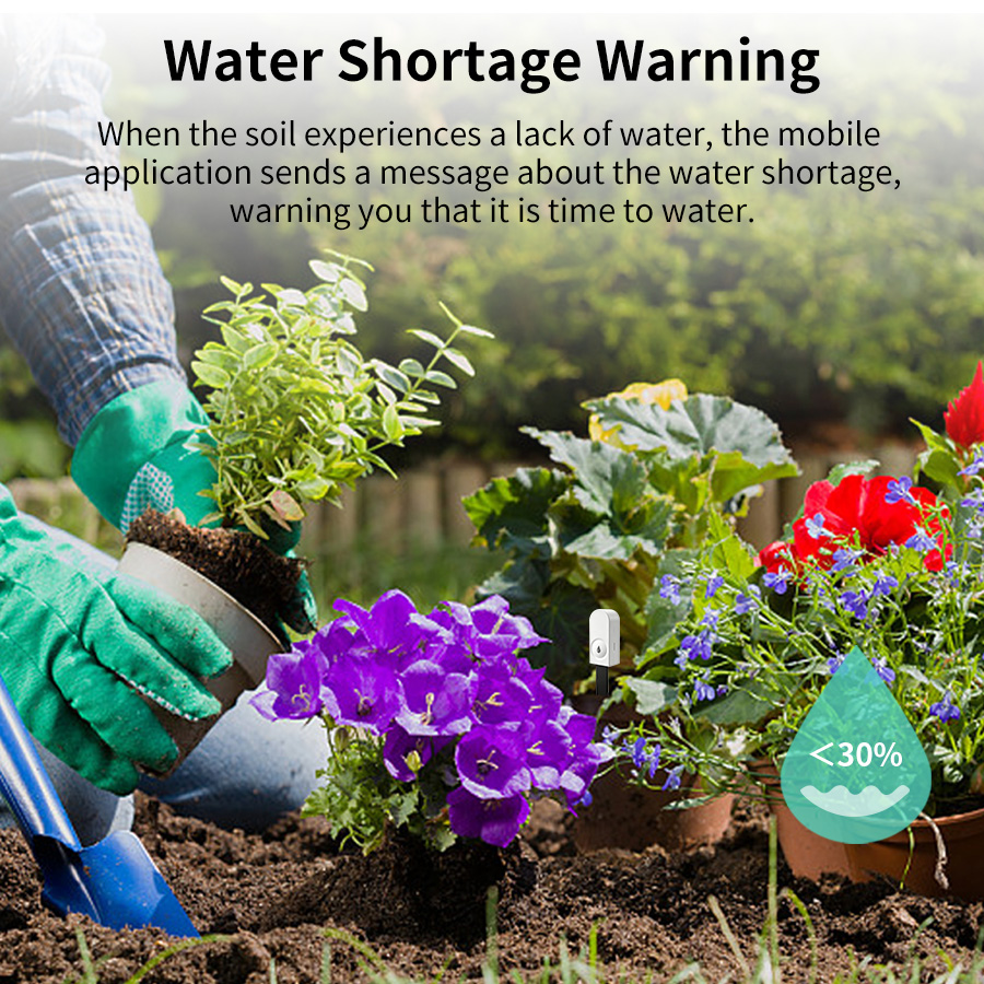 เซ็นเซอร์วัดความชื้นในดินอัจฉร - Smart Garden Moisture Sensor บทวิจารณ์และราคา