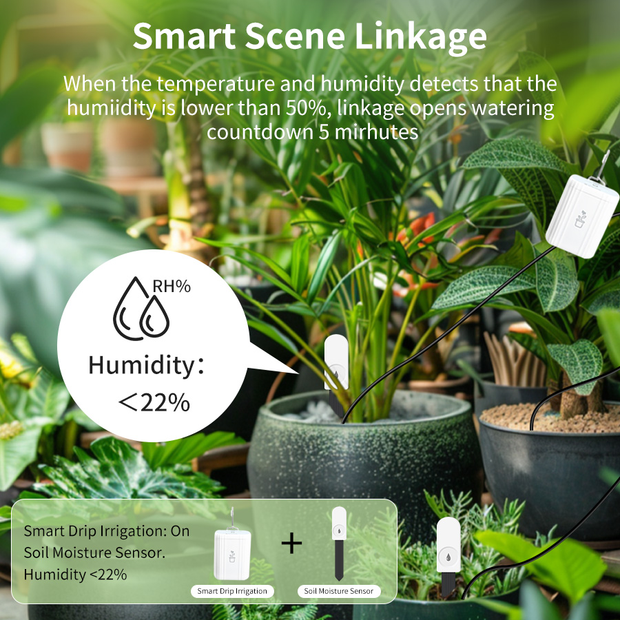 เครื่องวัดความชื้นและอุณหภูมิด - Smart Garden Moisture Sensor บทวิจารณ์และราคา