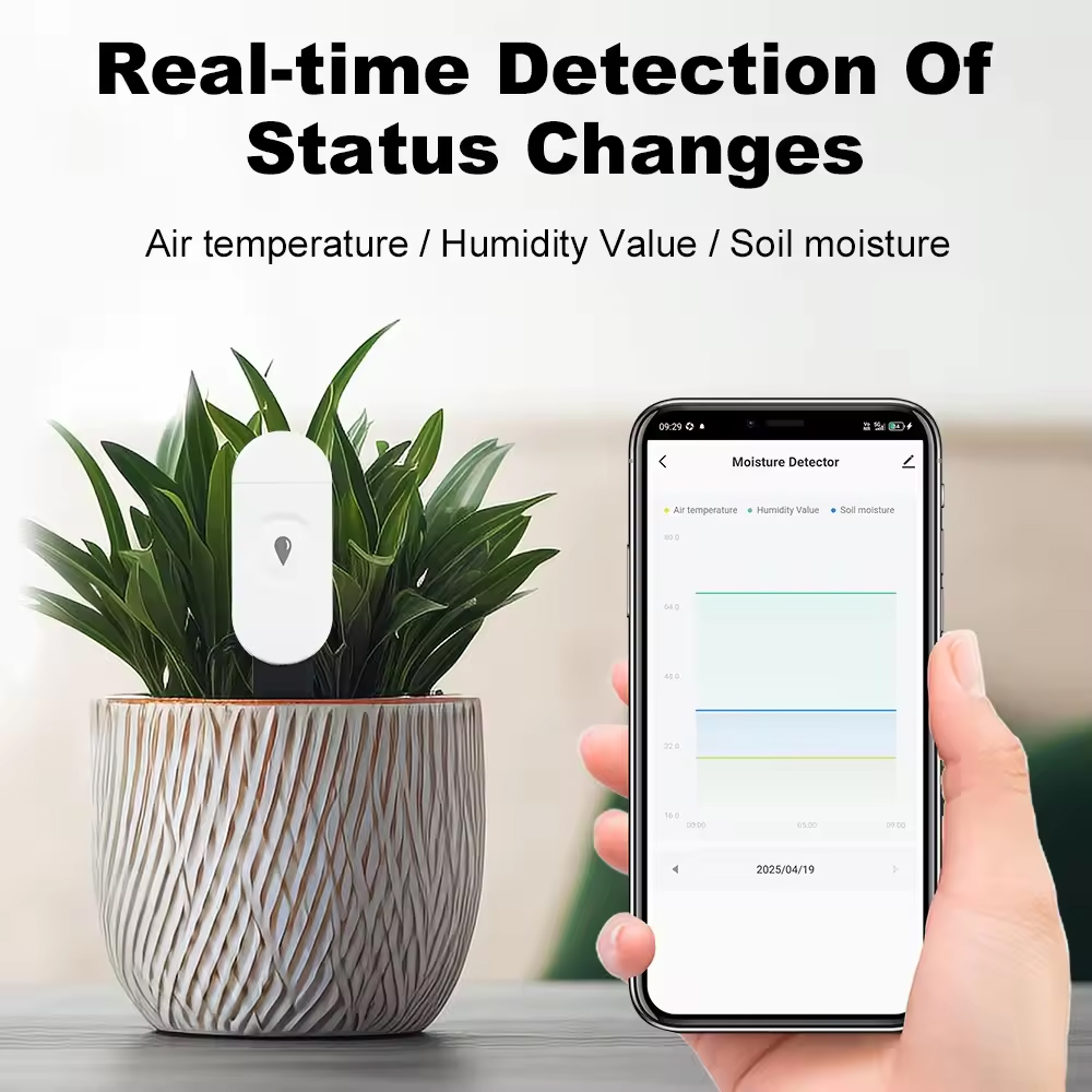 Tuya Zigbee อุณหภูมิความชื้นเค - Smart Garden Moisture Sensor บทวิจารณ์และราคา