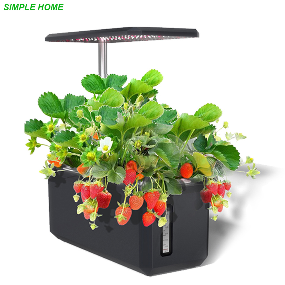 ระบบปลูกไฮโดรโปนิกส์พร้อมพืชใน - Smart Garden Led Lights บทวิจารณ์และราคา