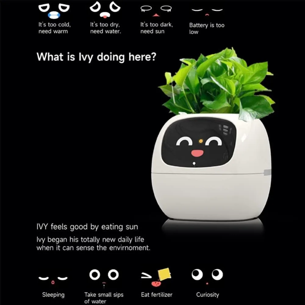 กระถางดอกไม้อัจฉริยะพร้อมชิป A - Smart Garden Offices บทวิจารณ์และราคา